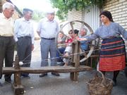 Trasnformación de la lana. Aliste, Zamora